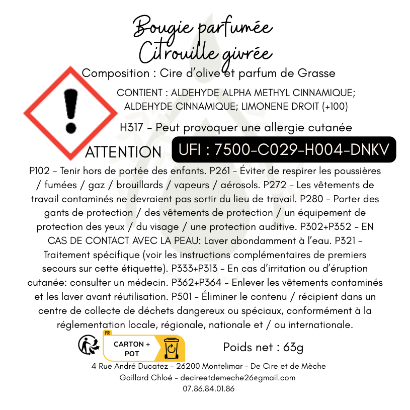 Bougie citrouille givrée