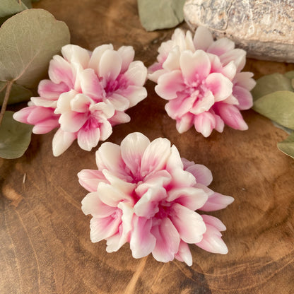Fondant Magnolia