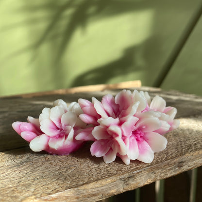 Fondant Magnolia