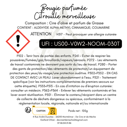 Bougie citrouille merveilleuse moulé