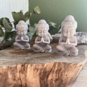 Fondants Fleur de lotus