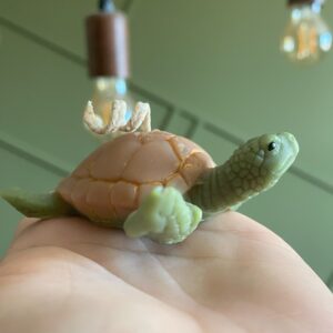 Bougie Crème de soin