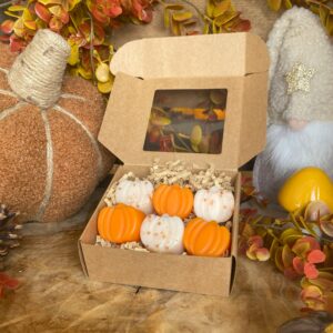 Mix Fondant citrouille givrée - citrouille merveilleuse