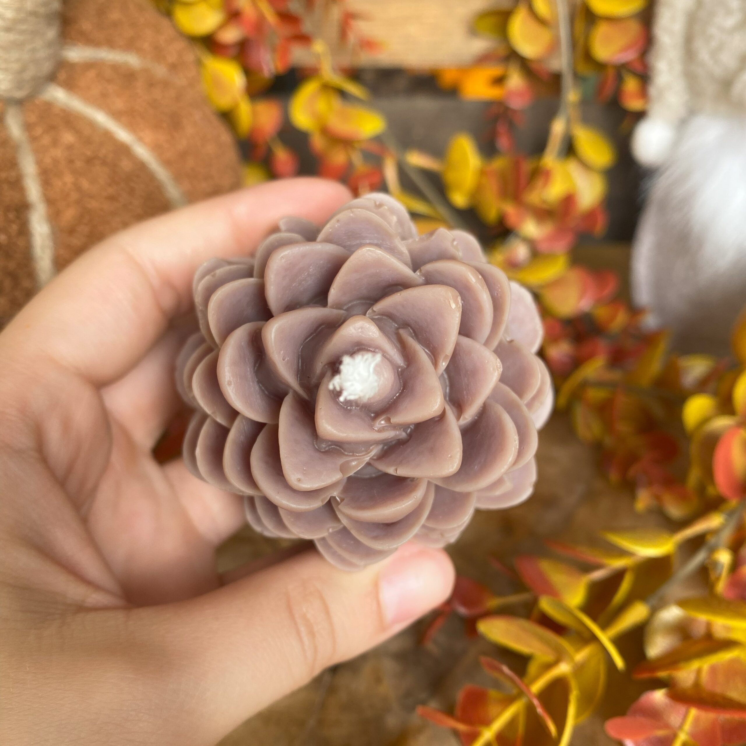 Bougie pin des landes