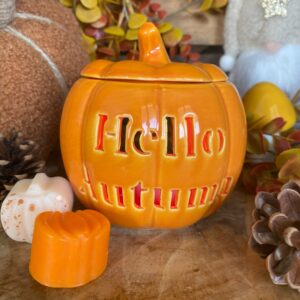 Diffuseur Citrouille orange