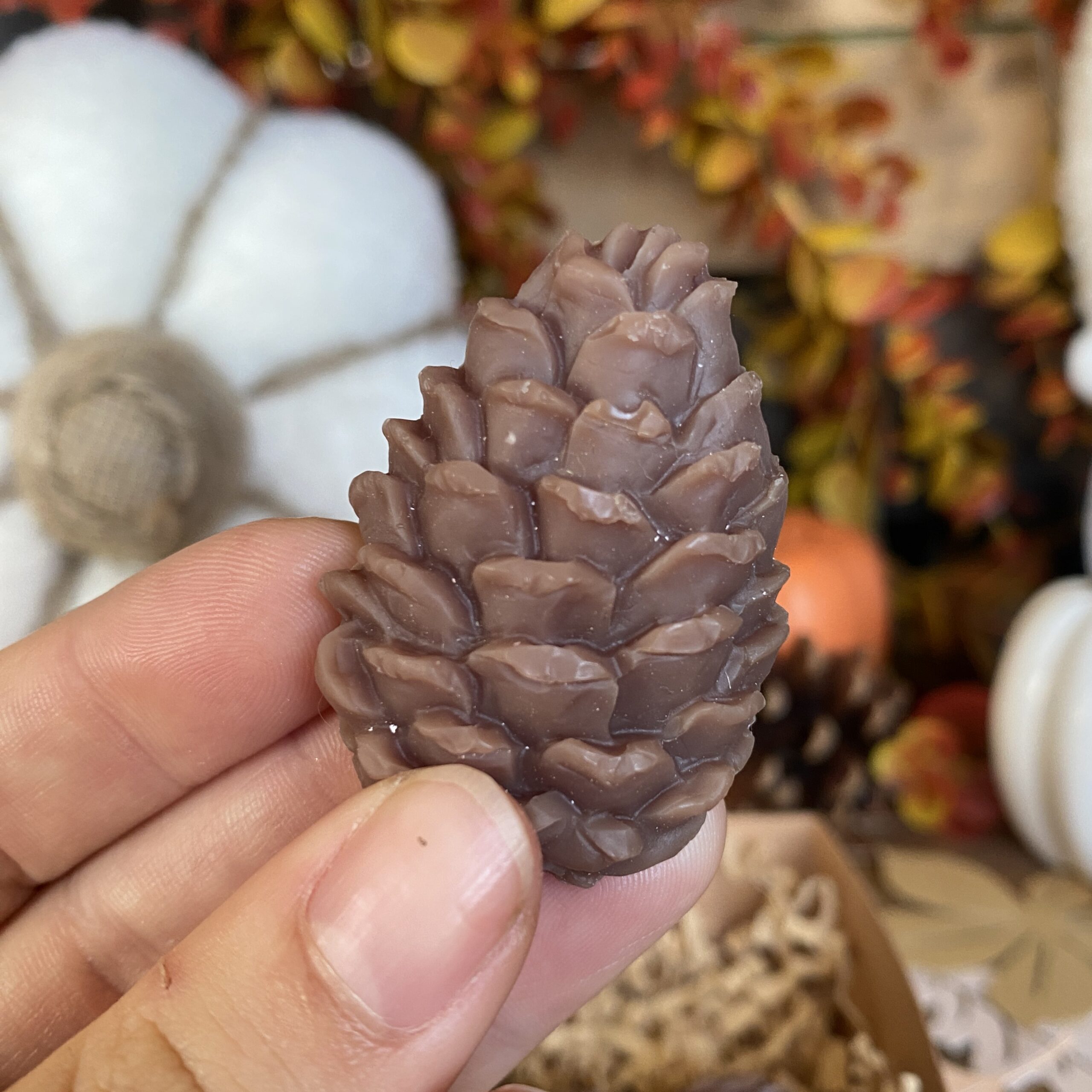 Fondants pin des landes